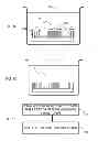 Fig. 06 - METHOD FOR FABRICATING PATTERNED SILICON NANOWIRE ARRAY AND SILICON MICROSTRUCTURE