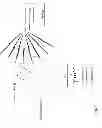 Fig. 08 - Receiver utilizing multiple radiation patterns to determine angular position