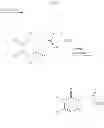 Fig. 53 - Substituted pyrimidinium compounds for combating animal pests