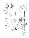 Fig. 02 - Auxin biosynthesis inhibitor