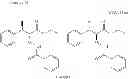 Fig. 53 - Auxin biosynthesis inhibitor
