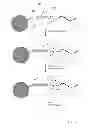 Fig. 02 - ALTERNATIVE NUCLEOTIDE FLOWS IN SEQUENCING-BY-SYNTHESIS METHODS