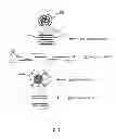 Fig. 02 - T-enhanced blocking oligonucleotides and baits for improved target enrichment and reduced off-target selection