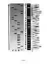 Fig. 09 - Paired end bead amplification and high throughput sequencing