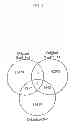 Fig. 02 - Optimized probe selection method