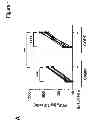 Fig. 02 - COMPOSITIONS AND METHODS FOR THE DIAGNOSIS AND TREATMENT OF INLAMMATORY DISORDERS AND FIBROTIC DISEASE