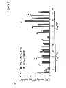 Fig. 04 - COMPOSITIONS AND METHODS FOR THE DIAGNOSIS AND TREATMENT OF INLAMMATORY DISORDERS AND FIBROTIC DISEASE
