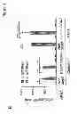 Fig. 06 - COMPOSITIONS AND METHODS FOR THE DIAGNOSIS AND TREATMENT OF INLAMMATORY DISORDERS AND FIBROTIC DISEASE