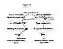 Fig. 28 - COMPOSITIONS AND METHODS FOR THE DIAGNOSIS AND TREATMENT OF INLAMMATORY DISORDERS AND FIBROTIC DISEASE