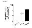 Fig. 06 - Methods of detecting therapeutic exosomes