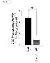 Fig. 09 - Methods of detecting therapeutic exosomes