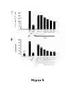 Fig. 06 - Compounds and methods for preventing or treating a viral infection