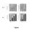 Fig. 09 - Compounds and methods for preventing or treating a viral infection