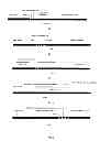 Fig. 04 - ANTICANCER FUSION PROTEIN