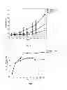 Fig. 09 - ANTICANCER FUSION PROTEIN