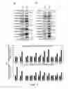 Fig. 04 - PP2A REGULATORY SUBUNIT MODIFICATION IN DISEASE