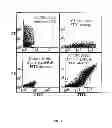 Fig. 07 - Yeast cell surface display of proteins and uses thereof