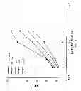 Fig. 22 - Yeast cell surface display of proteins and uses thereof