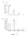 Fig. 06 - Synthetic peptides and their use