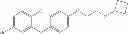 Fig. 85 - Benzylbenzene derivatives and methods of use