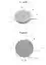 Fig. 07 - TRANSDERMAL HORMONE COMPOSITION AND COMBINED STATIC-CYCLIC DELIVERY