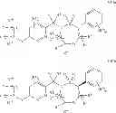 Fig. 40 - Aryl sultam derivatives as RORc modulators