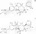 Fig. 44 - Aryl sultam derivatives as RORc modulators
