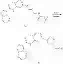 Fig. 46 - Compounds and compositions as c-kit kinase inhibitors