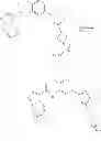 Fig. 96 - Compounds and compositions as c-kit kinase inhibitors