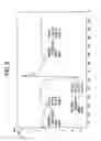 Fig. 09 - Solid forms of tyrosine kinase inhibitors, process for the preparation and their pharmaceutical composition thereof