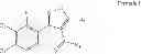 Fig. 08 - Phenyl-isoxazole derivatives and preparation process thereof