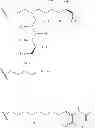 Fig. 33 - POLY AROMATIC SODIUM CHANNEL BLOCKERS