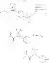 Fig. 72 - Positive allosteric modulators of the α7 nicotinic acetylcholine receptor and uses thereof