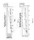Fig. 09 - Biodegradable intravitreal tyrosine kinase implants