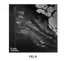 Fig. 09 - Two dimensional polymers and methods of making same