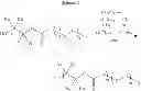 Fig. 85 - Polycarbonate block copolymers