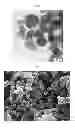 Fig. 02 - COMPOSITION OF MICROCAPSULES WITH A SILICA SHELL AND A METHOD FOR THEIR PREPARATION