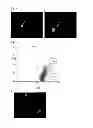 Fig. 02 - Method for selecting plasma cells or plasmablasts, method for producing target antigen specific antibodies, and novel monoclonal antibodies