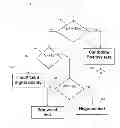 Fig. 07 - Apparatus and method for identifying myocardial ischemia using analysis of high frequency QRS potentials