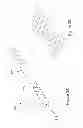 Fig. 06 - EXPANDABLE OCULAR DEVICES