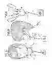 Fig. 03 - Oral mouthpiece and method for the use thereof