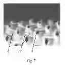 Fig. 06 - Absorbent article comprising fluid handling zones