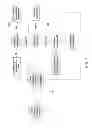 Fig. 07 - FEEDBACK-BASED DIURETIC OR NATRIURETIC MOLECULE ADMINISTRATION