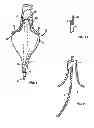 Fig. 02 - GUIDED CARDIAC ABLATION CATHETERS