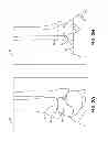 Fig. 03 - SYSTEM AND METHOD FOR ANTERIOR APPROACH FOR INSTALLING TIBIAL STEM