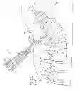 Fig. 09 - Spinal fixation tool set and method