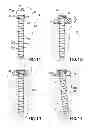 Fig. 05 - Bone plate with screw hole arrangement