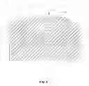 Fig. 02 - Flexible antenna on flexible substrate with adhesive back