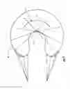 Fig. 03 - Implantable device and method to replace the meniscus of the knee and other body structures