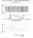 Fig. 16 - METHODS AND SYSTEMS FOR DETERMINING VASCULAR BODILY LUMEN INFORMATION AND GUIDING MEDICAL DEVICES